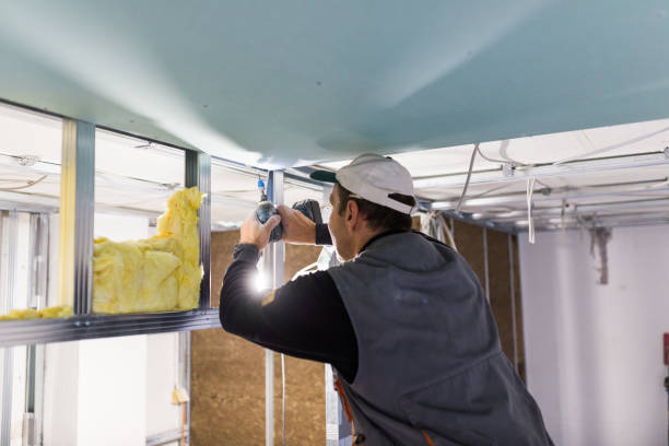 Best Commercial Insulation in Moon Lake, FL