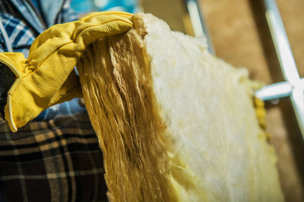 Best Specialized Insulation Services in Moon Lake, FL